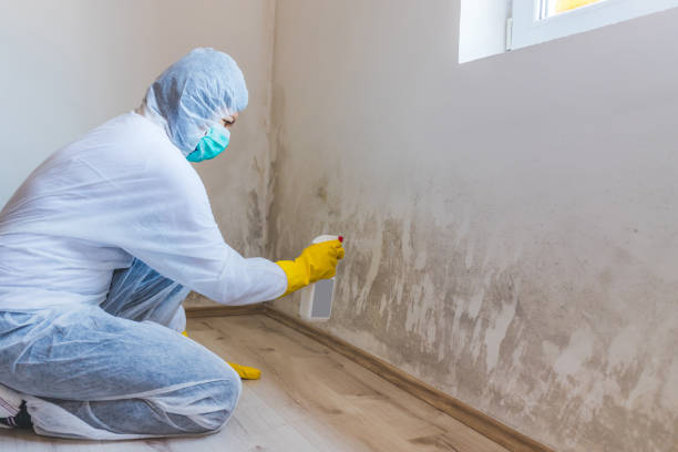 Hvac And Air Duct Mold Remediation inspection of HVAC system in Grantville