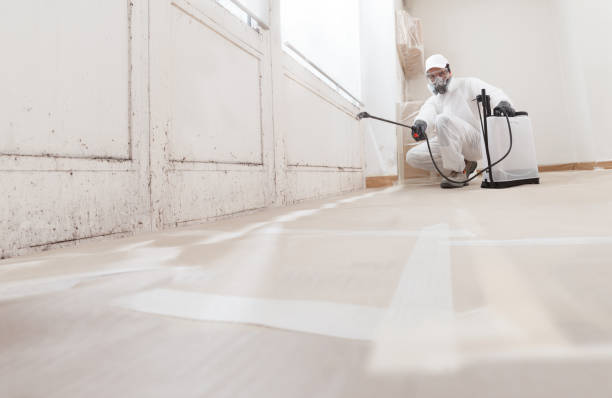 Black mold remediation team in Grantville